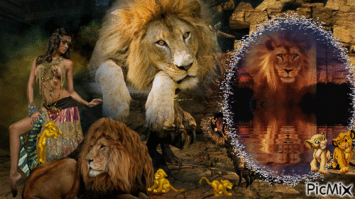 lion - GIF animé gratuit