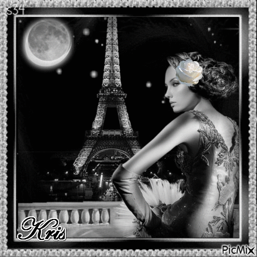 Paris de nuit 🌹🌼 - GIF animate gratis