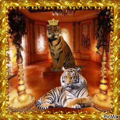 O Rei tigre e a Tigreza - Бесплатный анимированный гифка