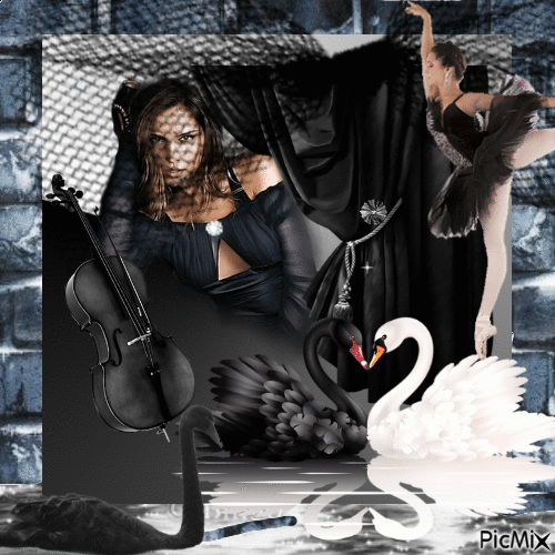 black swan - Δωρεάν κινούμενο GIF