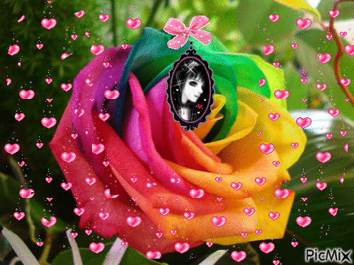 rainbow girls - Ingyenes animált GIF