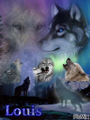 the howl - Free animated GIF