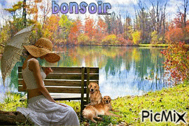 bonsoir - GIF animé gratuit