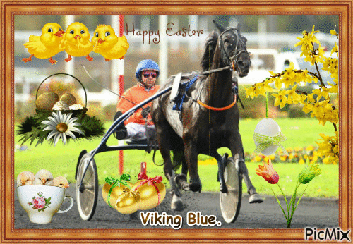 Le champion Viking Blue. - Δωρεάν κινούμενο GIF