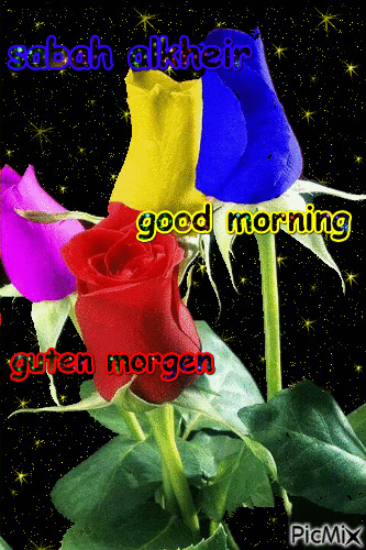 sabah alkheir,good morning,guten morgen - Gratis geanimeerde GIF