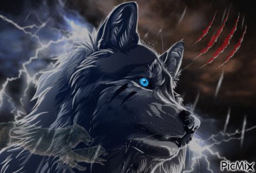 Wolf story - GIF animado gratis