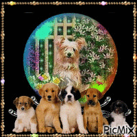 chiens - Darmowy animowany GIF