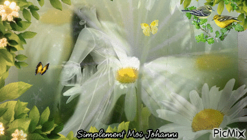 La Dame aux Papillons ... - Безплатен анимиран GIF