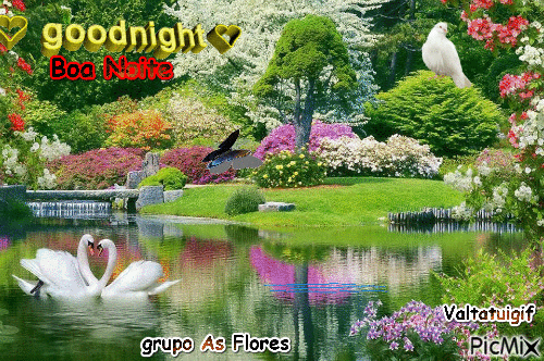 Boa Noite - grupo As Flores - Ingyenes animált GIF