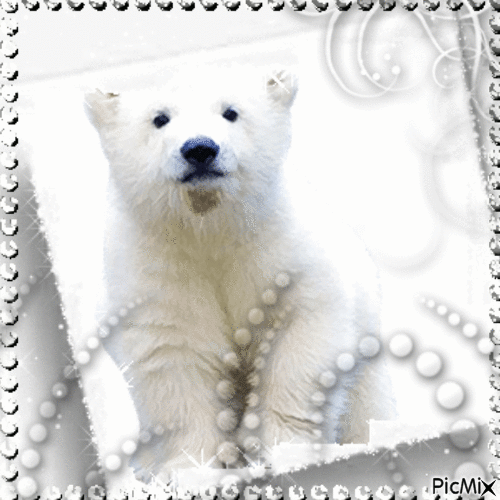 Ours blanc - GIF animé gratuit