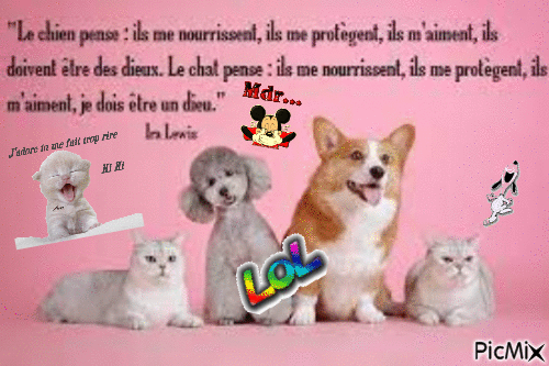 Chiens et chats - GIF animado grátis