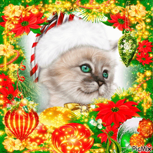 Christmas cat - GIF เคลื่อนไหวฟรี