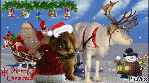 Santa and Carlo - GIF animate gratis
