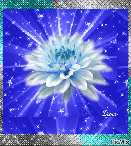 azul florata - Animovaný GIF zadarmo