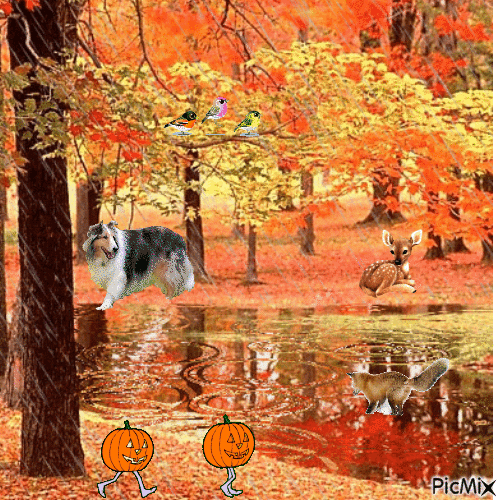 Fall - GIF animado grátis