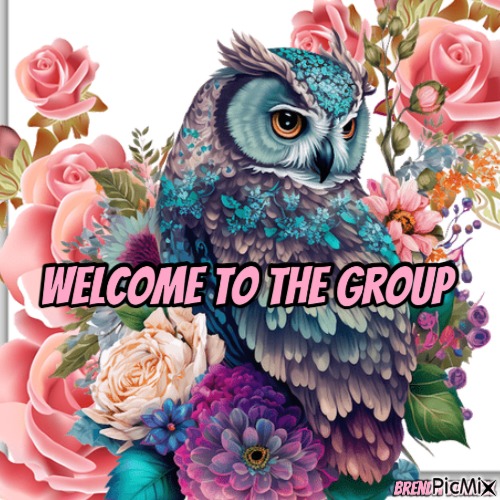 welcome owl - png grátis