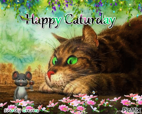 Happy Caturday - Gratis animeret GIF