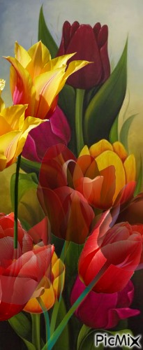 Pinto tulipanes - nemokama png