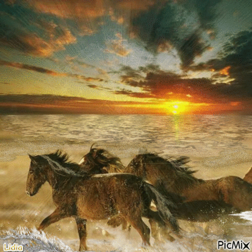 Horses - Gratis geanimeerde GIF