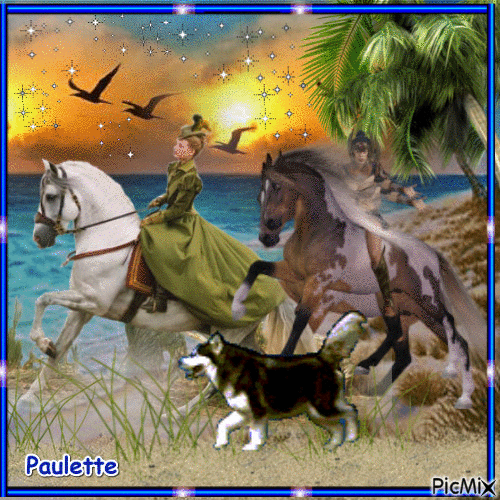 a cheval sur le sable - Free animated GIF