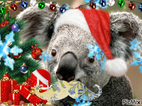 noel pour les animaux - Free animated GIF
