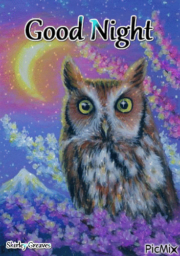 Good night owl - Free animated GIF