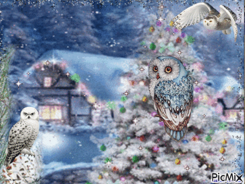 Christmas owl - GIF เคลื่อนไหวฟรี