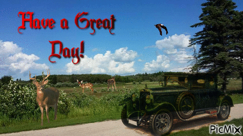 have a great lake of the woods ontario day - GIF animé gratuit