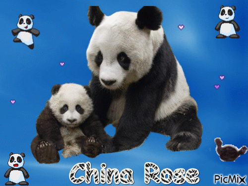 你好! China Rose - GIF animé gratuit