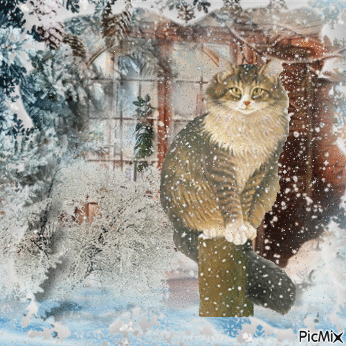 gato en invierno 🌨 - GIF animado gratis