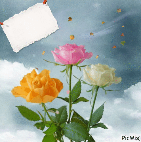 3 roses - GIF animé gratuit