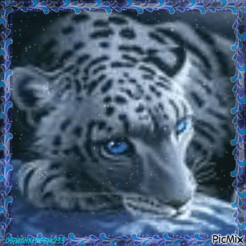 Snow Leopard - Animovaný GIF zadarmo