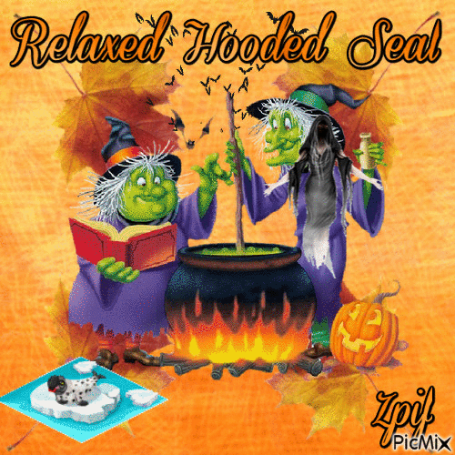 Relaxed Hooded Seal - GIF animado gratis