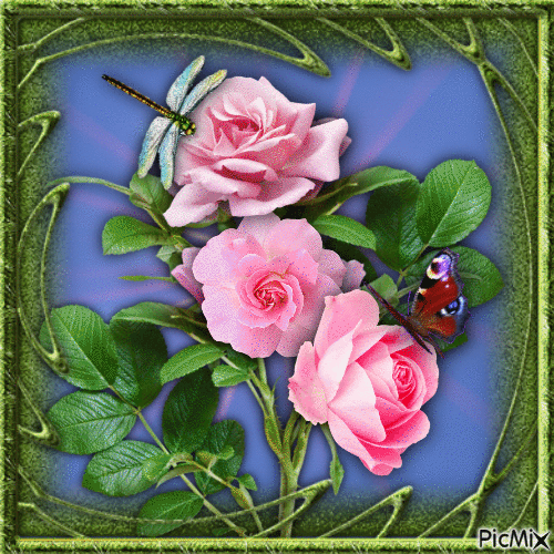 roses ❣️ розы - Безплатен анимиран GIF