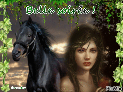 Le cheval - Free animated GIF