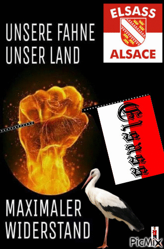alsace - Free animated GIF