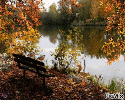 Autumn Lake - Bezmaksas animēts GIF