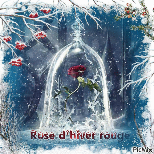 Rose d'hiver rouge - GIF animé gratuit