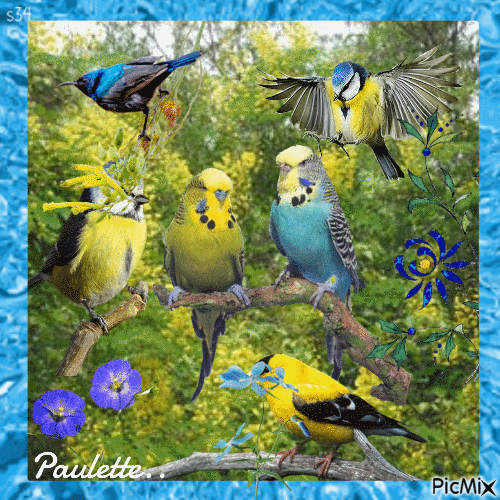 oiseaux de printemps - Бесплатный анимированный гифка