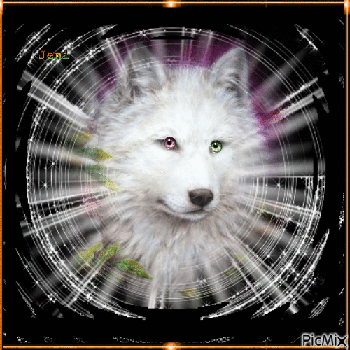 Wolf - Darmowy animowany GIF