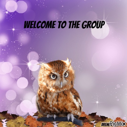 welcome owl - kostenlos png