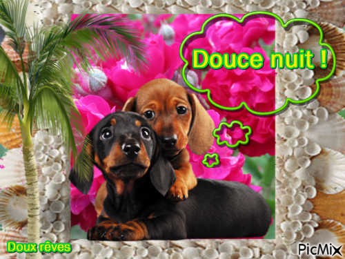 Petits chiens - 免费PNG