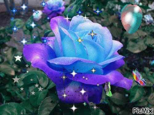 sweet rose - Zdarma animovaný GIF
