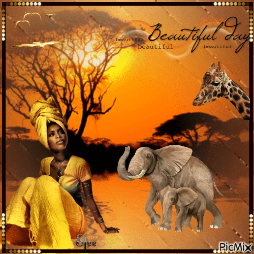 Sonnenuntergang in Afrika - Бесплатни анимирани ГИФ