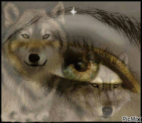 wolf 3 - GIF animasi gratis