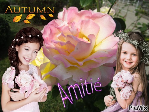 Amitié - δωρεάν png