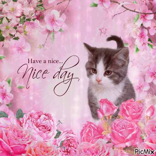 have a nice day - 免费动画 GIF