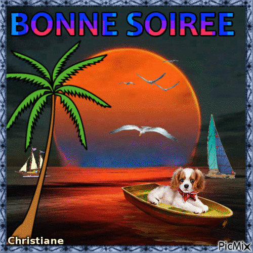 BONNE SOIREE 01 07 - Free animated GIF