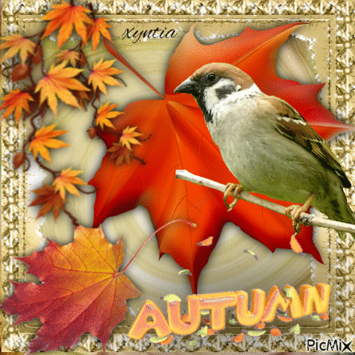 Autumn - GIF เคลื่อนไหวฟรี