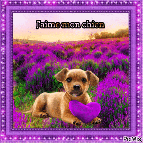 CHIEN - Free animated GIF